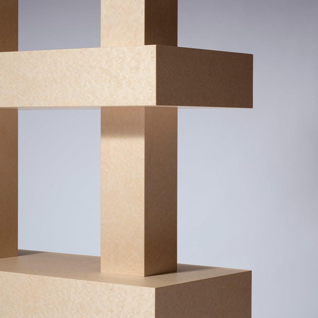 Современный книжный шкаф итальянской работы