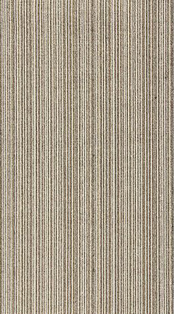 Кілем жолақ Color Loop 2006-72 | Орам ені: 70 см