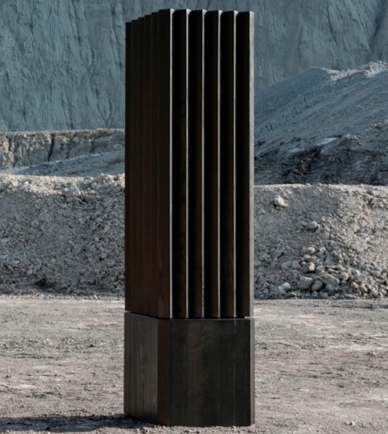 Шкаф для хранения в современном стиле