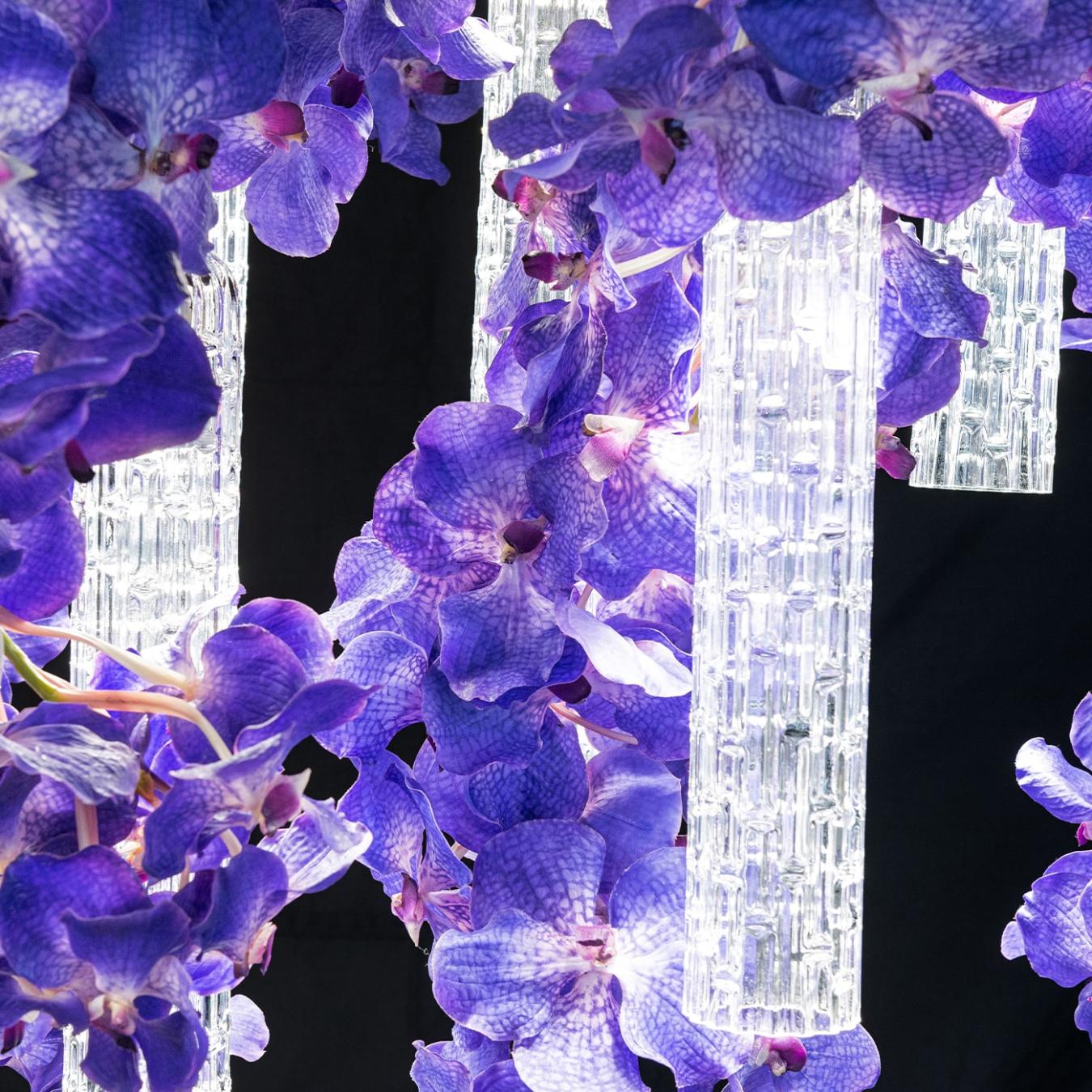 Большая люстра Vanda