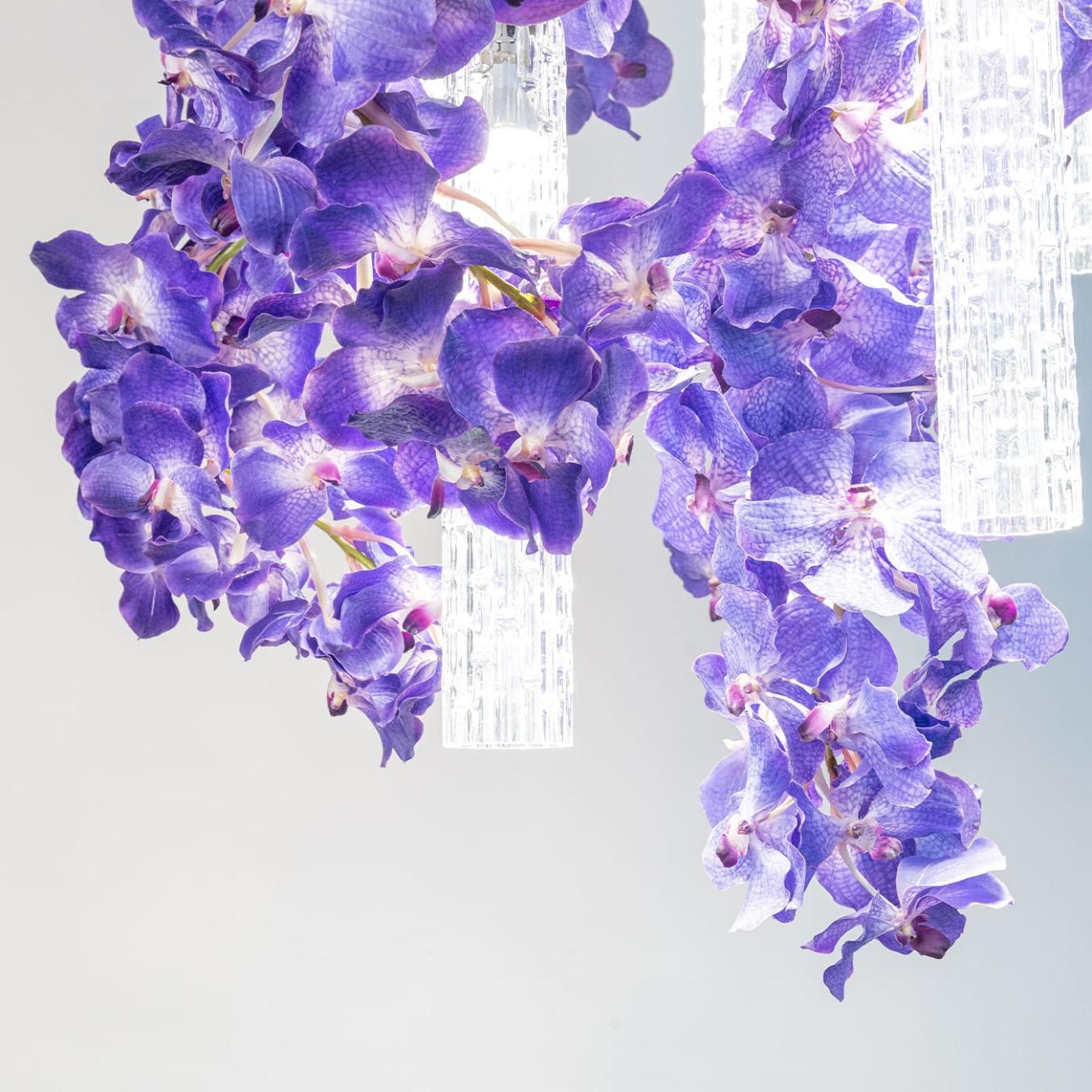 Большая люстра Vanda