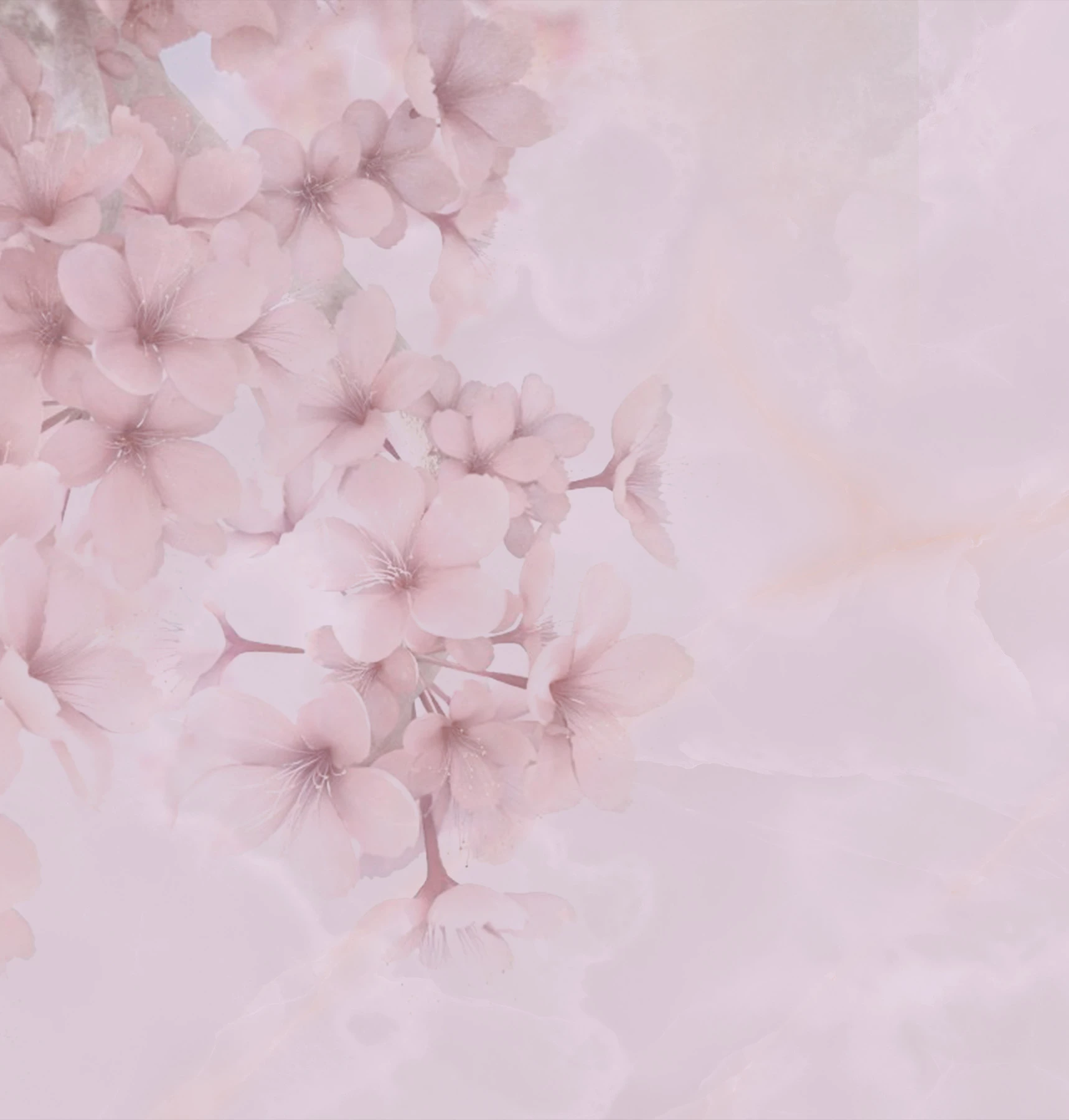 Обои Bloom