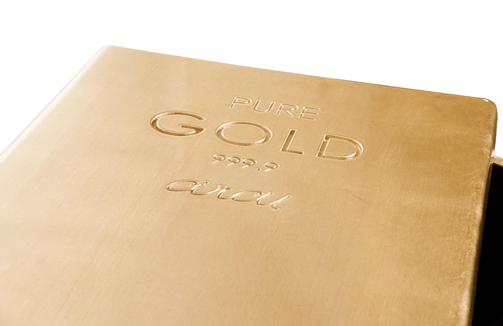 Ящик для игрушек Gilded Treasure Box