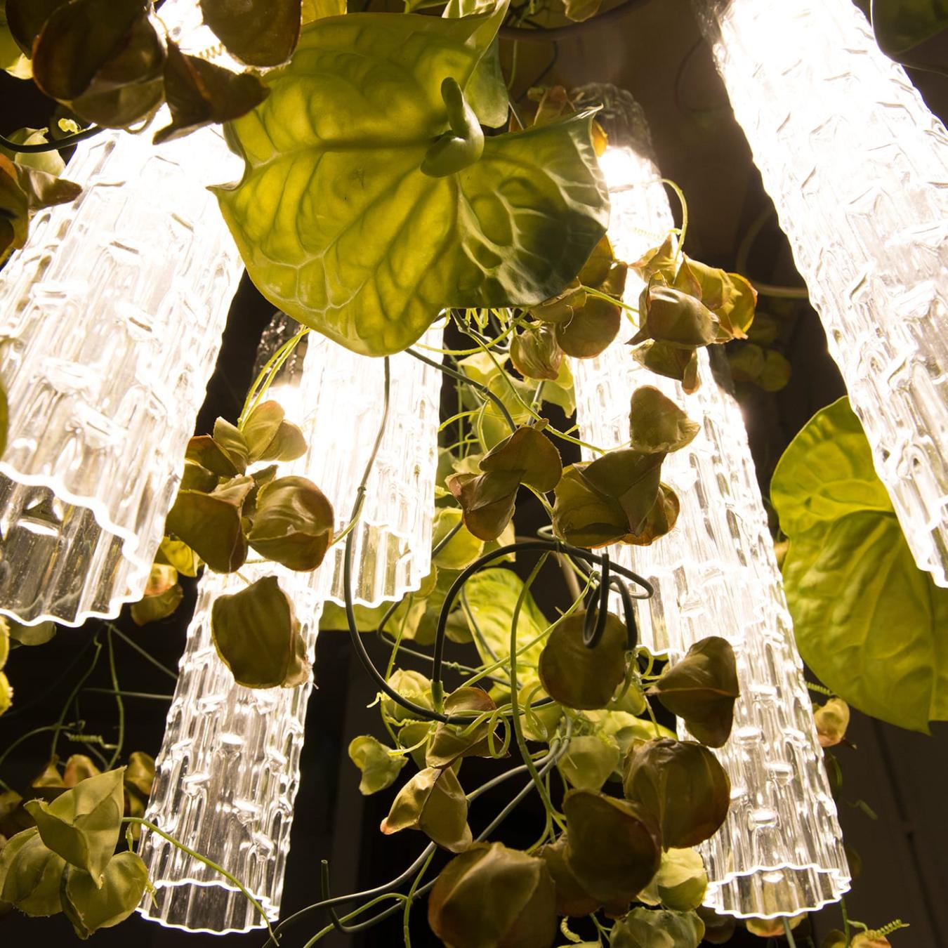 Physalis Anthurium люстрасы