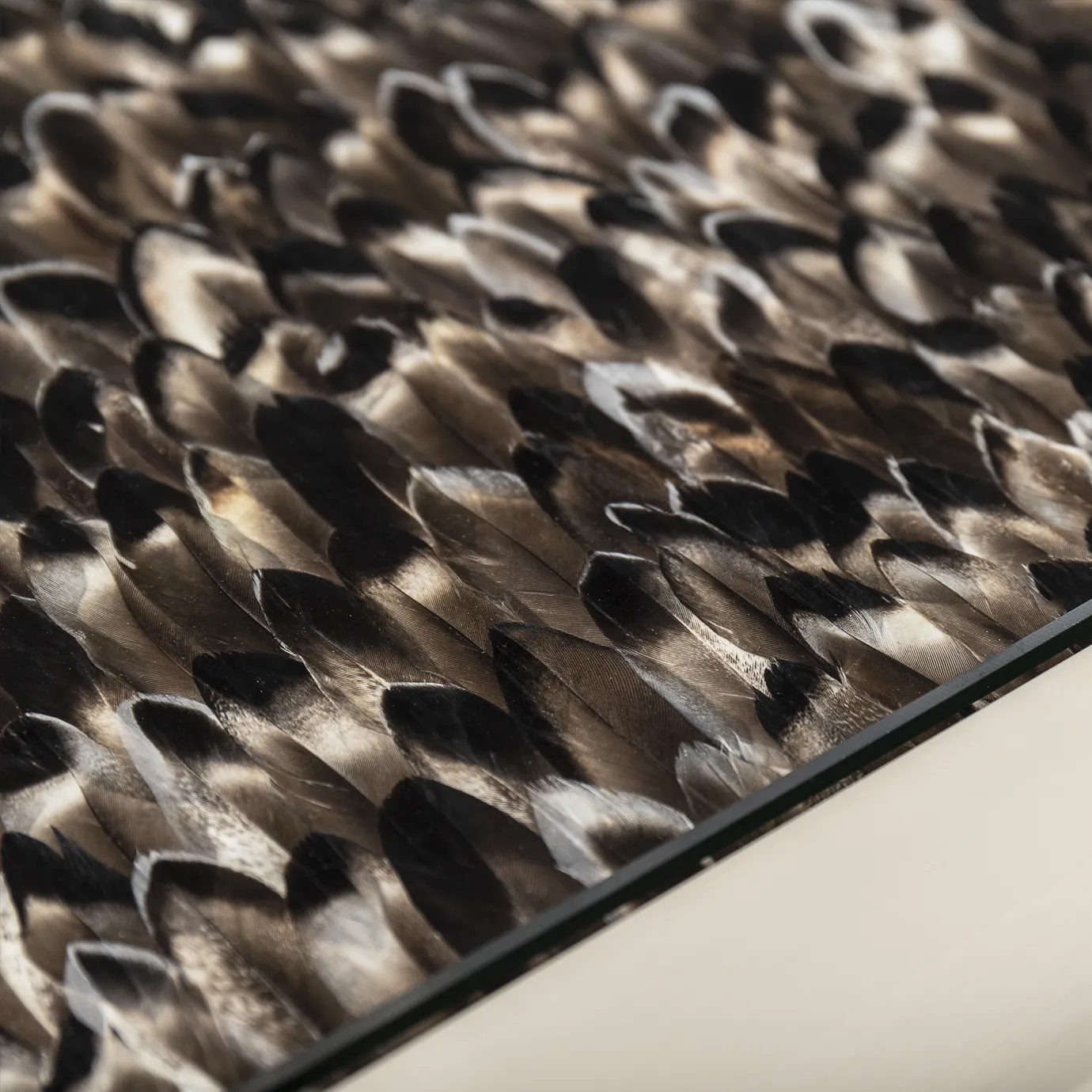 Обеденный стол с отделкой из экзотических перьев Mistral