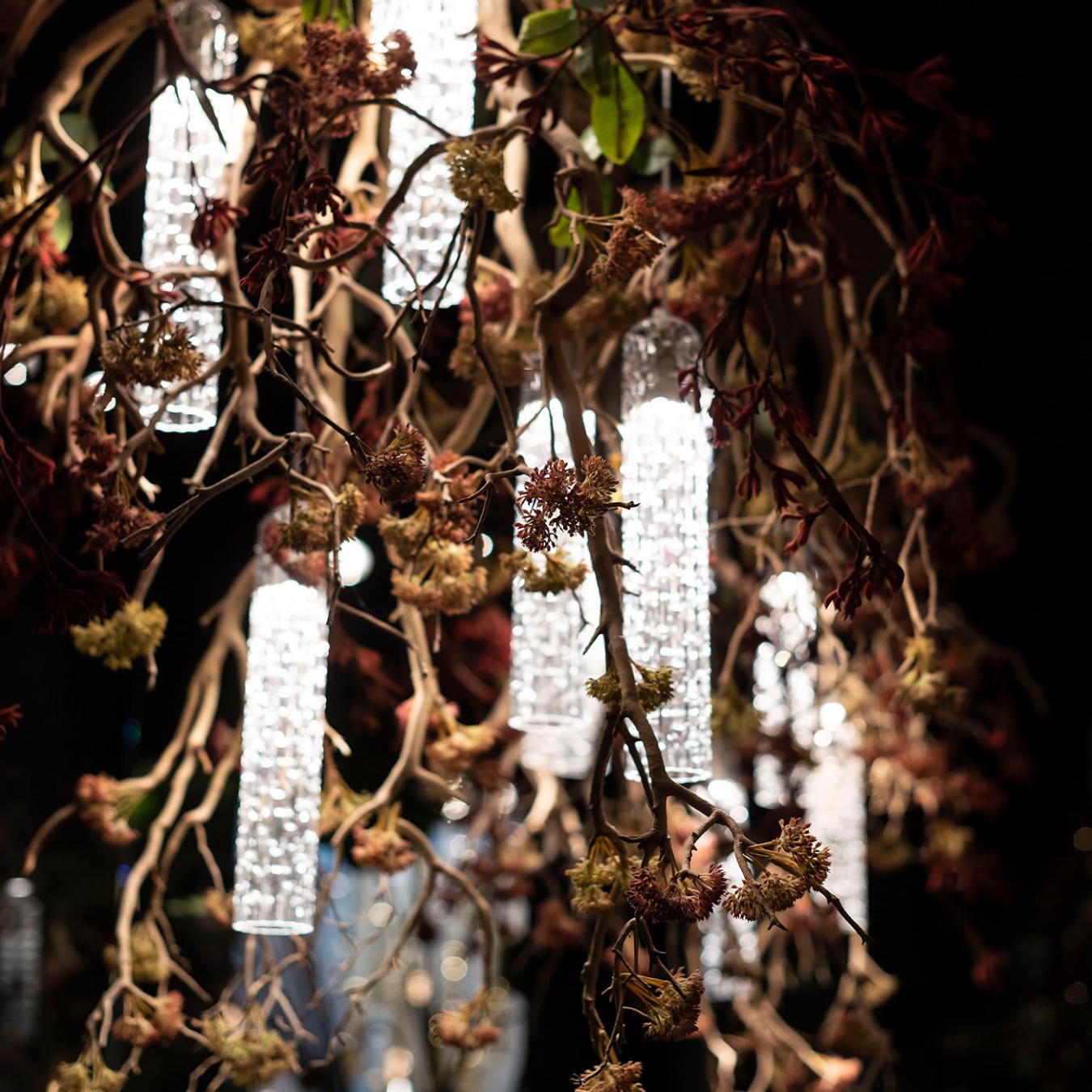 Manzanita люстрасы