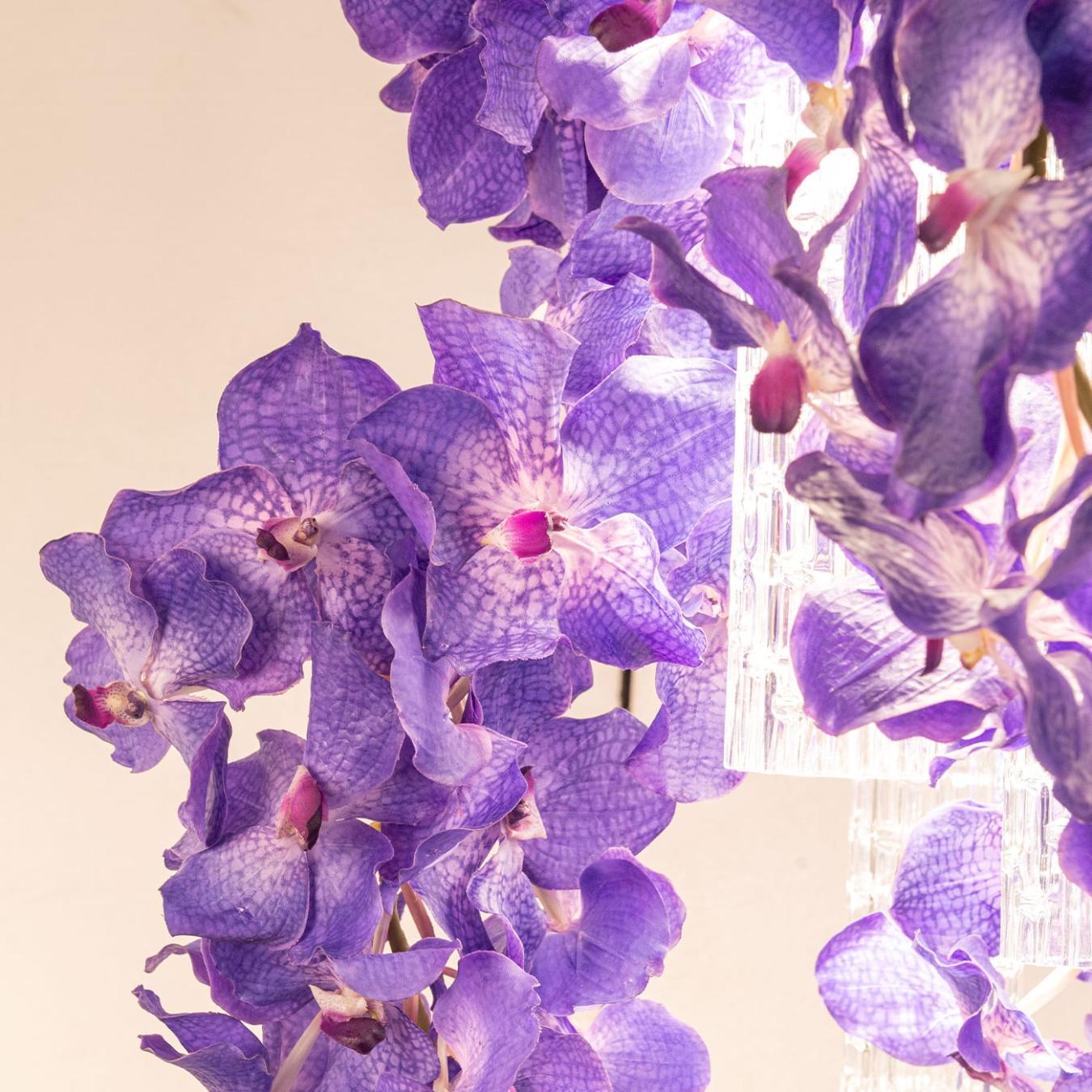 Vanda төртбұрышты люстрасы