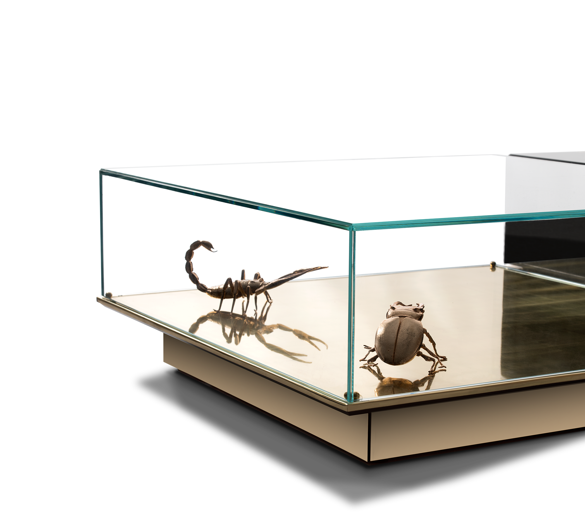 Орталық үстел Evolution Center Dual, жиынтық