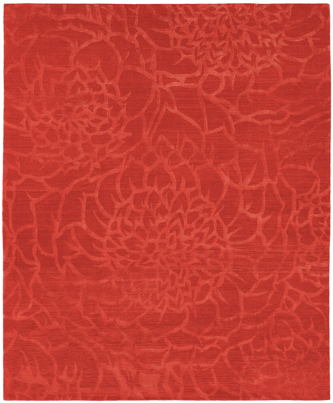 Кілем Bud Red | Өлшемі: 200 x 300 см