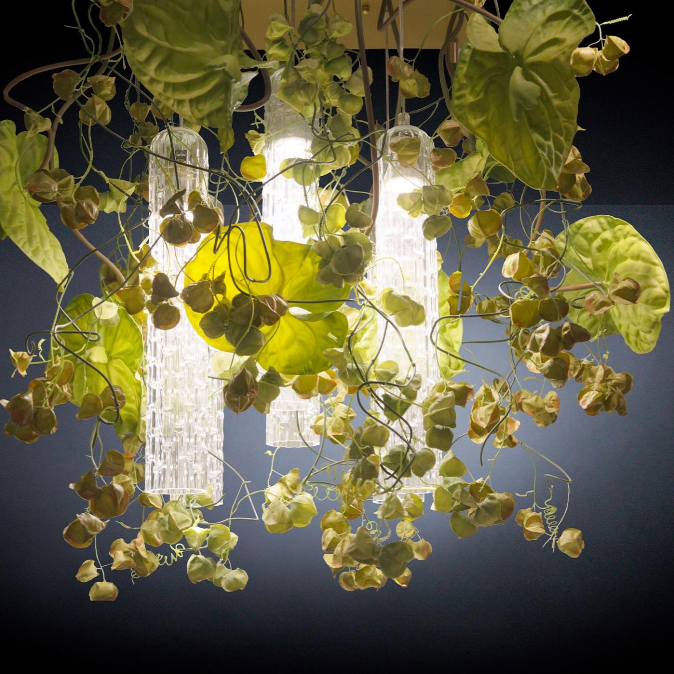 Physalis Anthurium люстрасы