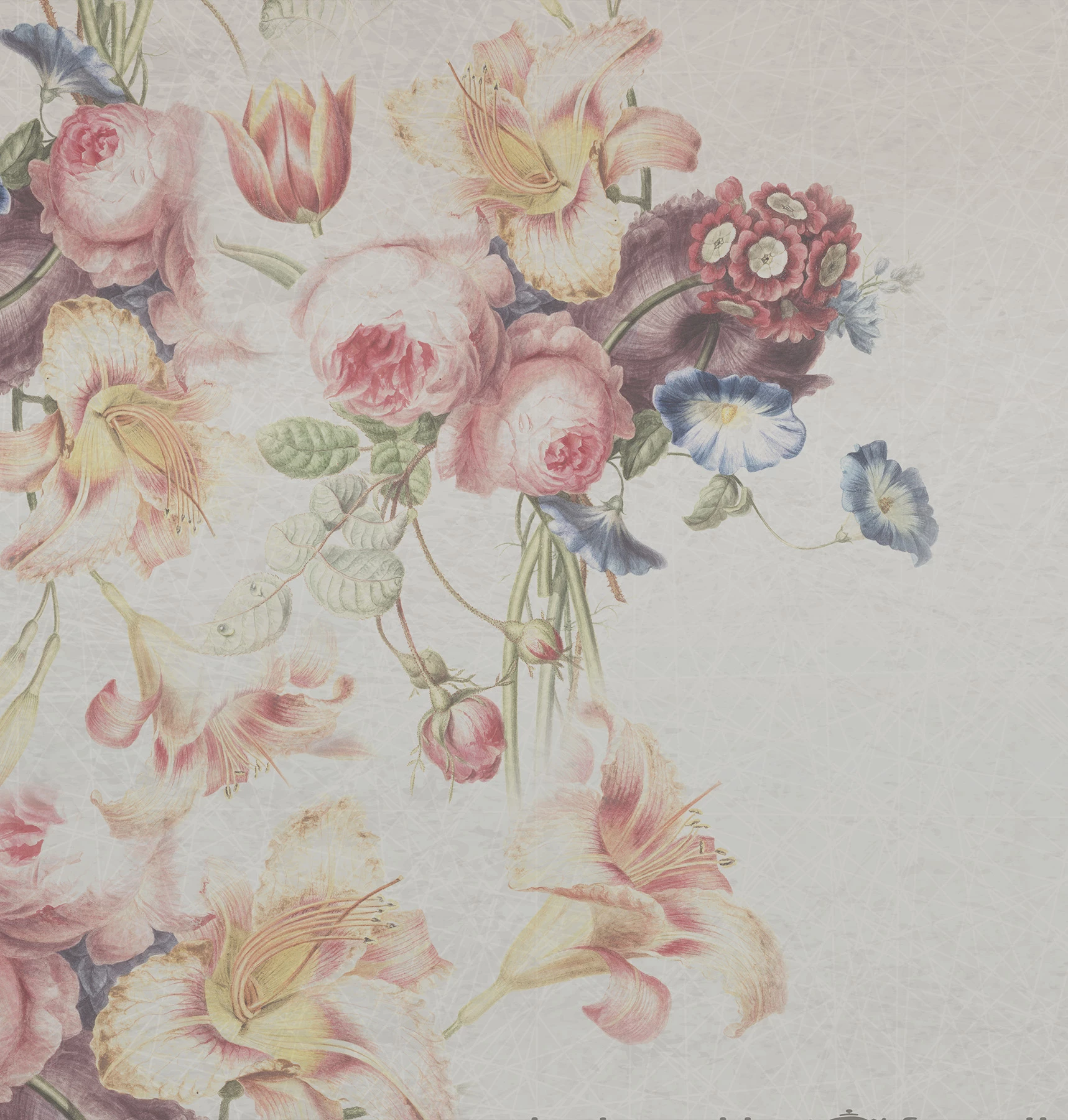 Тұсқағаз Spring Flower