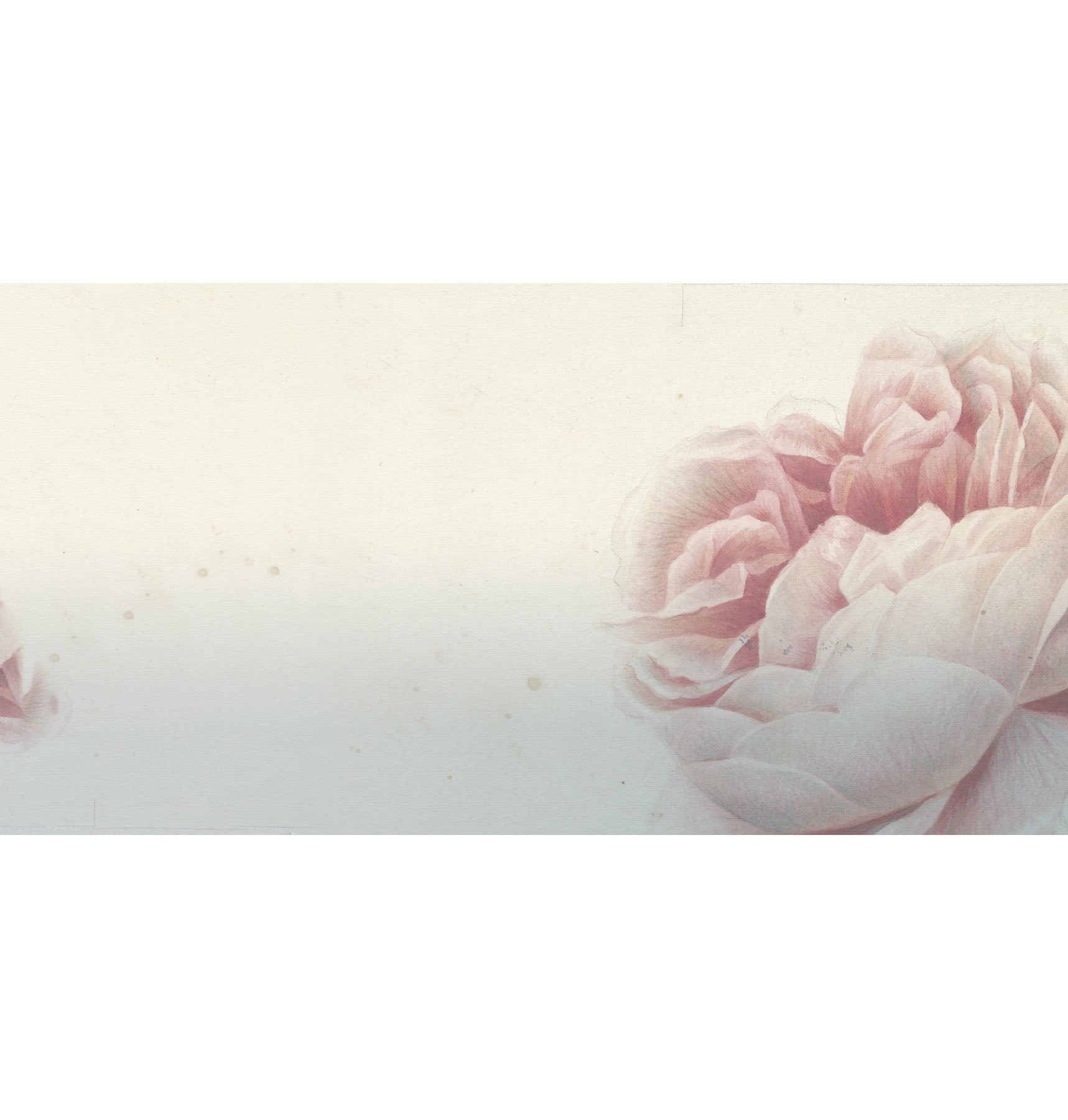 Обои Romantic Flowers