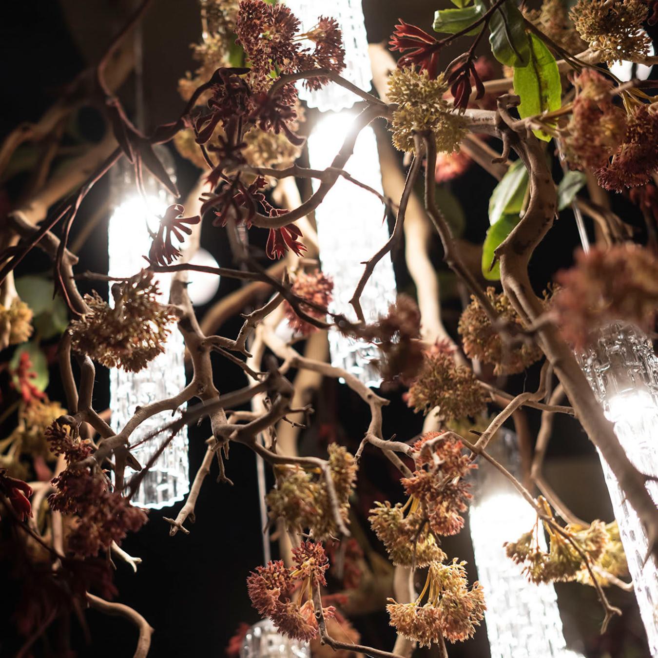 Manzanita люстрасы