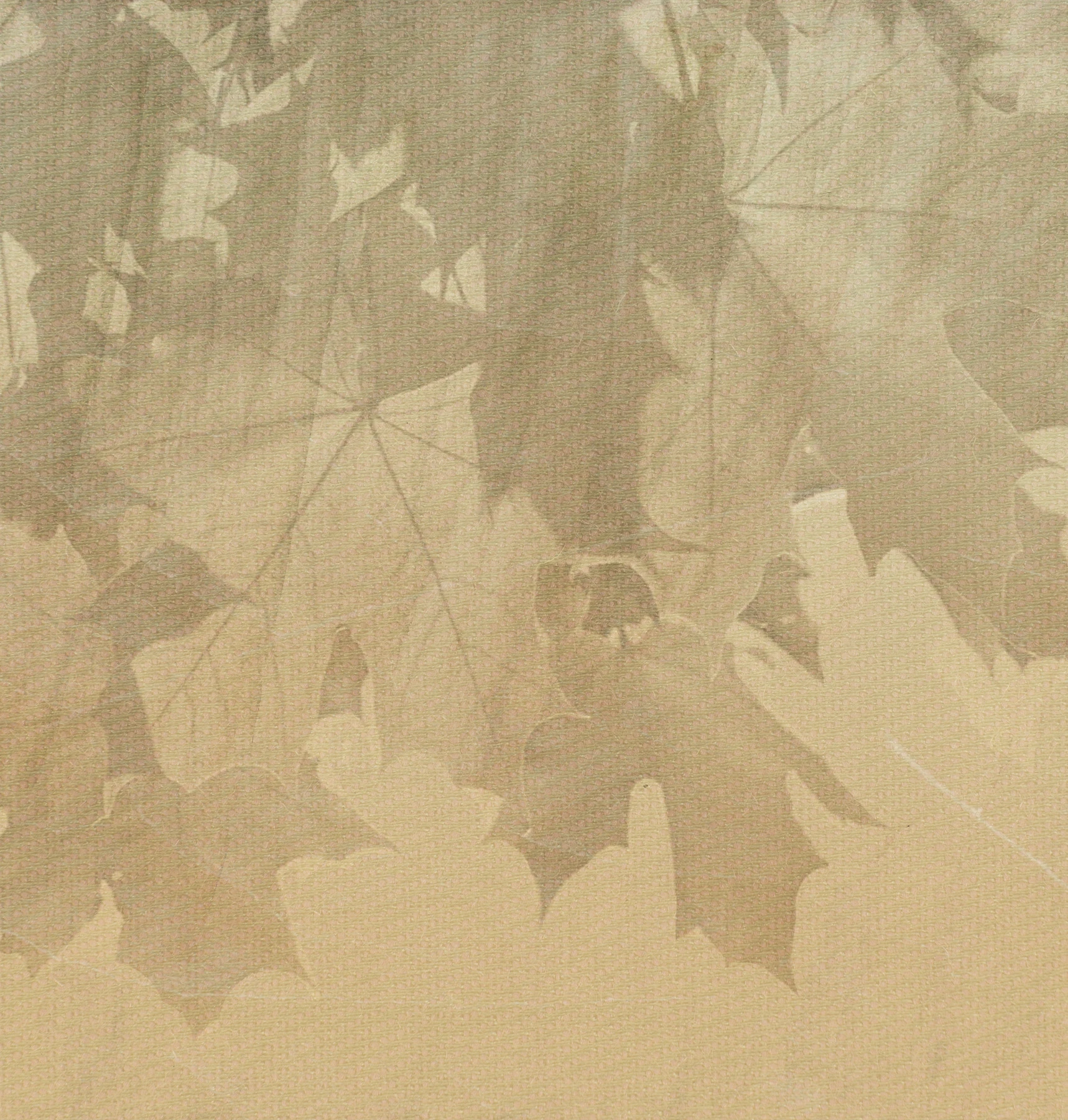 Обои Creative Leaves