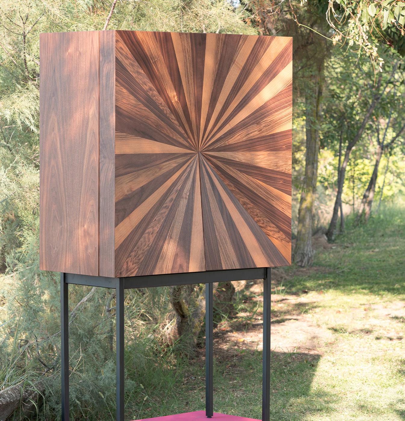 Шкаф с деревянным шпоном