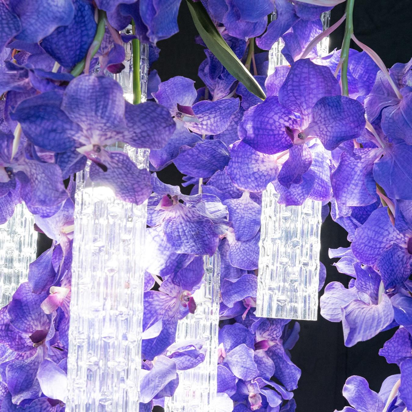 Большая люстра Vanda