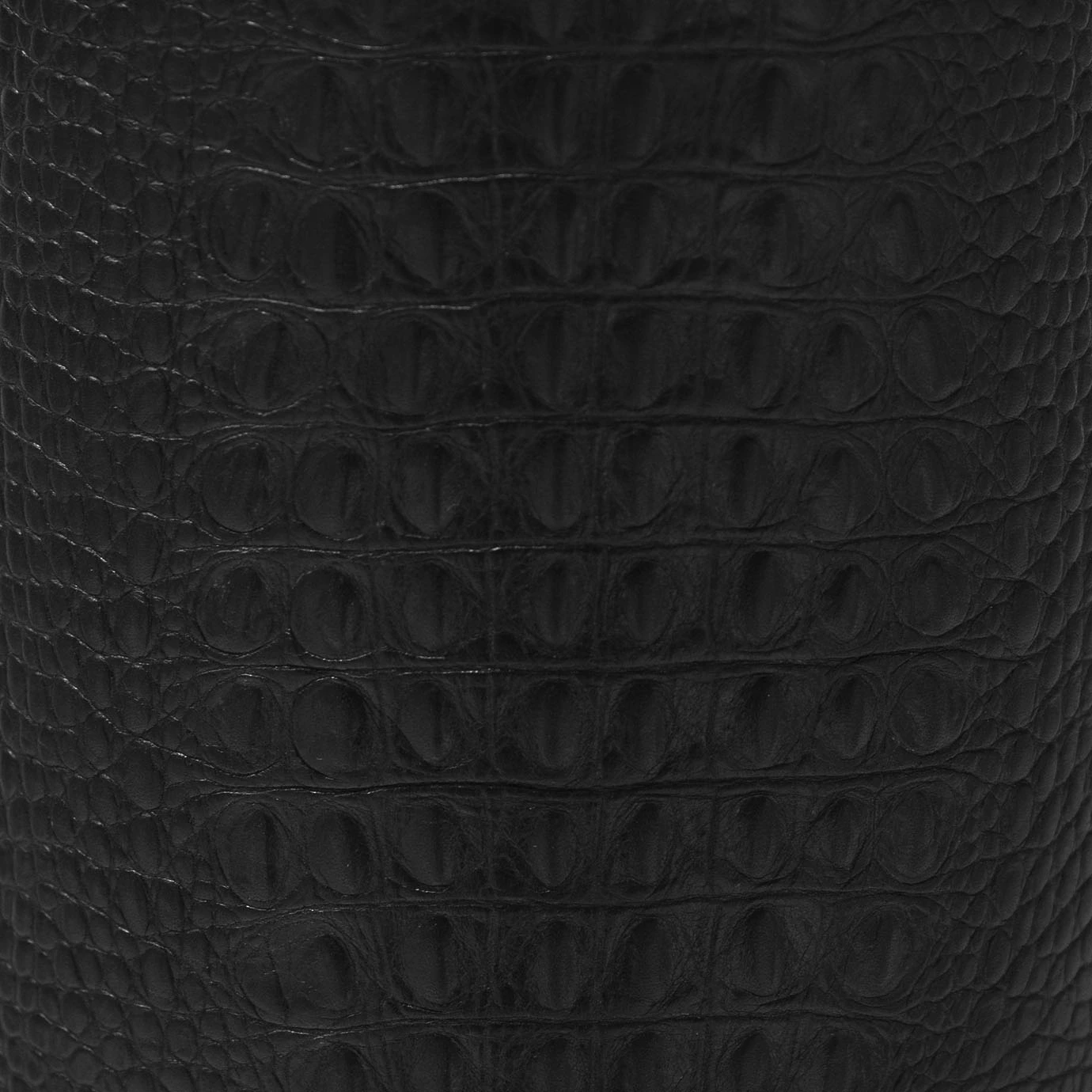 Настольная лампа Reptilia