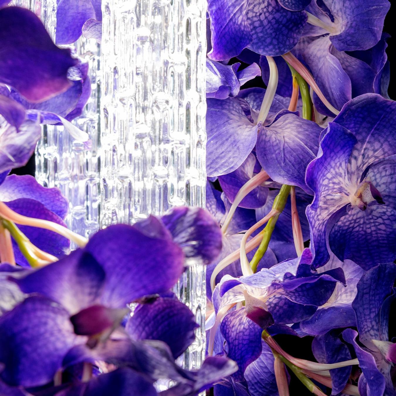 Vanda төртбұрышты люстрасы