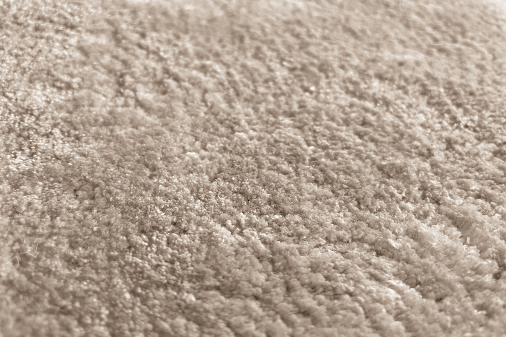 Ковер Bococa | Цвет: Limestone | Размер: 200 x 300 см