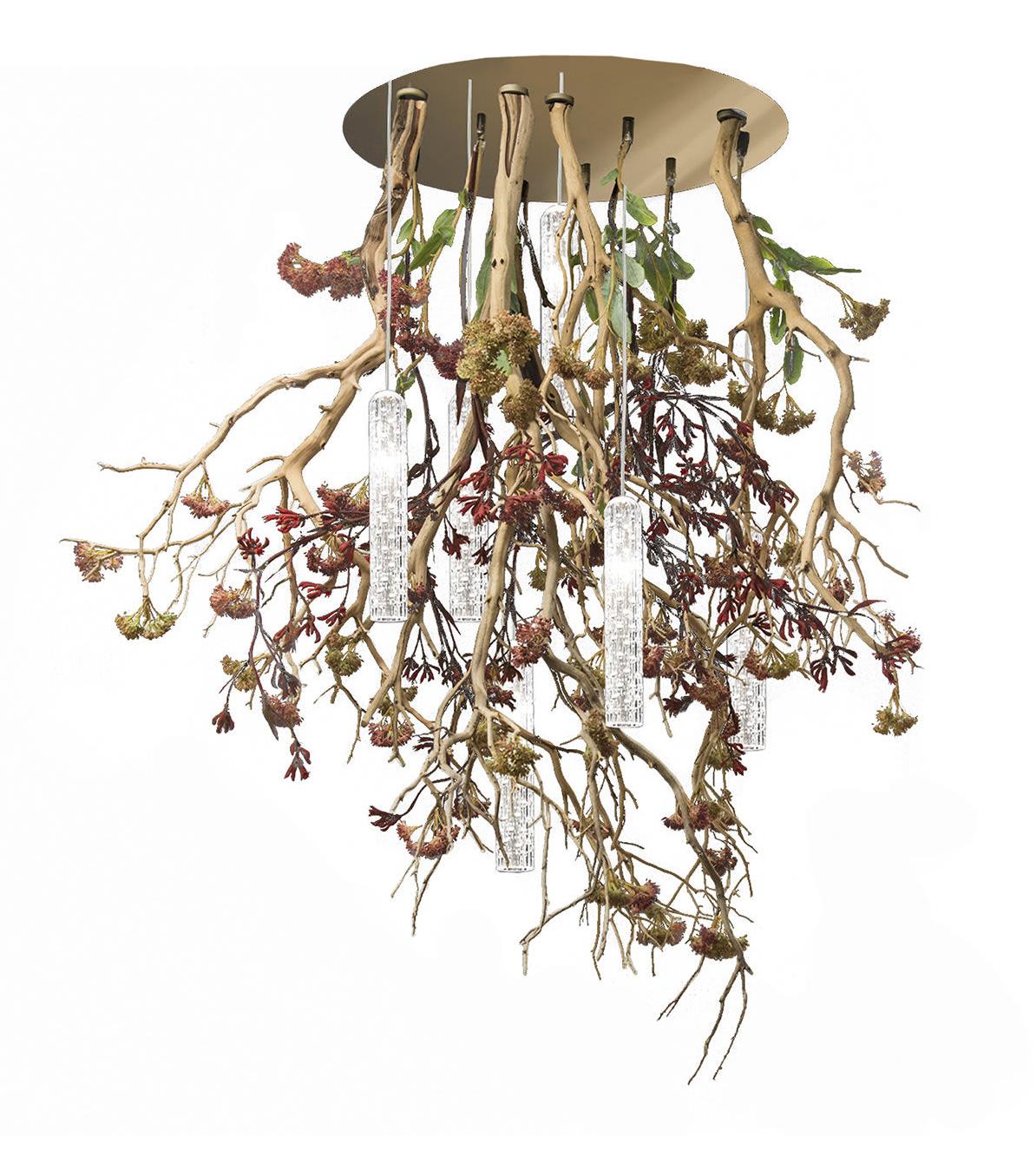 Manzanita люстрасы