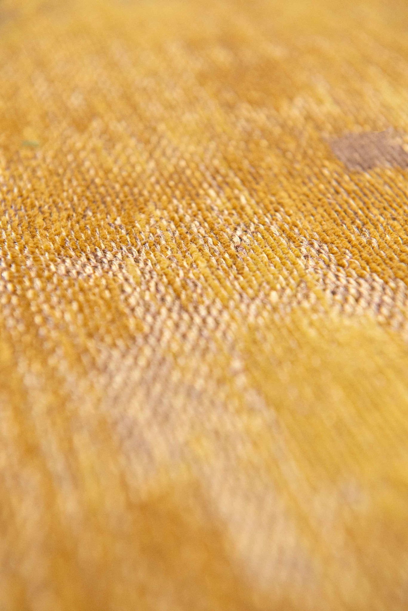 Ковер Venetian Dust - Rialto Gold 9235 | Размер: 240 x 340 см