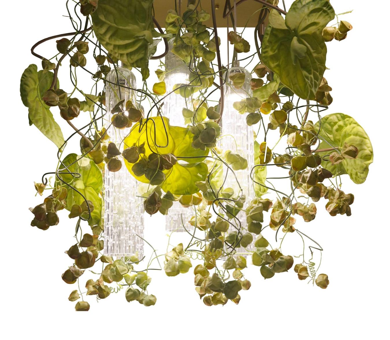 Physalis Anthurium люстрасы