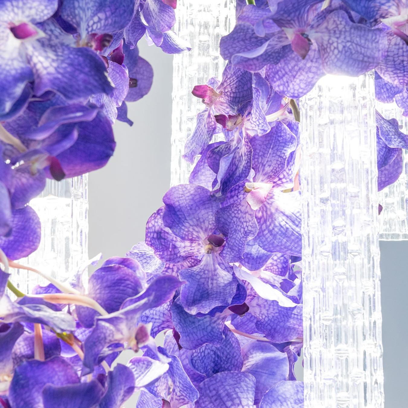 Большая люстра Vanda