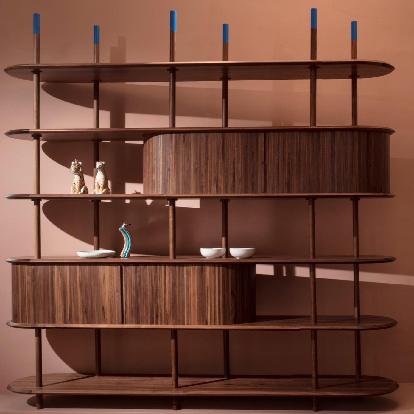 Роскошный модульный книжный шкаф из ореха канелетто