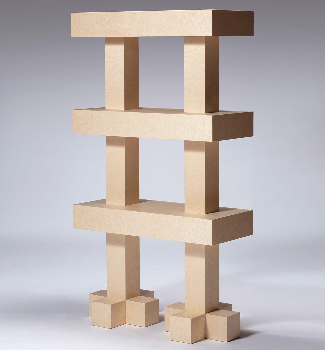 Современный книжный шкаф итальянской работы