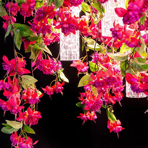 Pink Cascade үлкен люстрасы