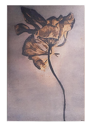 Картина Yellow Flower Wall