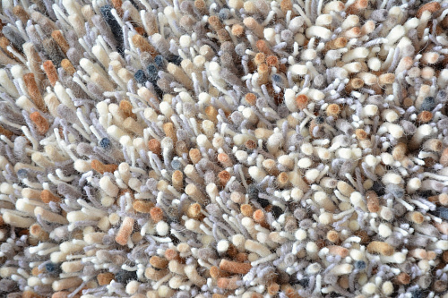 Ковер Young 61801