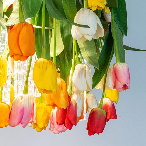 Tulip Maxi люстрасы