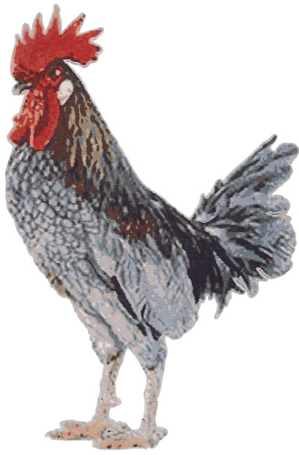 Ковер Rooster