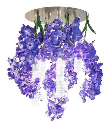 Vanda үлкен люстрасы