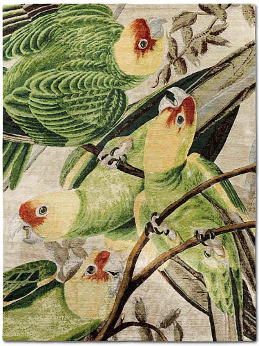 Ковер ручной работы Parrots