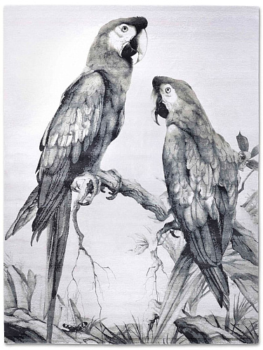 Ковер ручной работы Two Parrots
