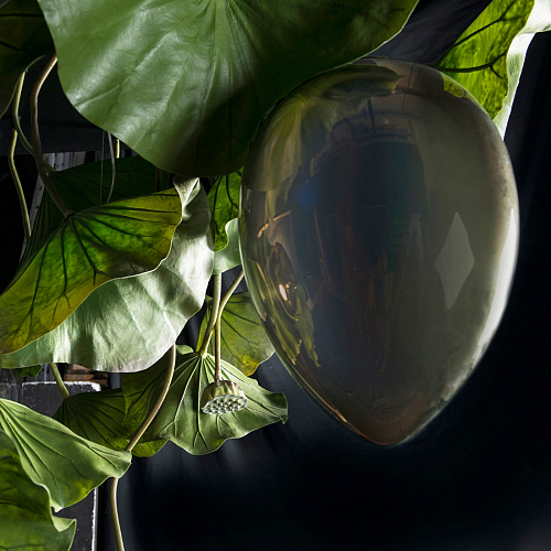 Lotus Crystal люстрасы