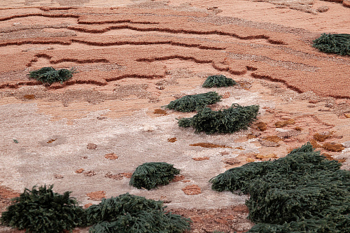 Ковер карамельного цвета Art Deco