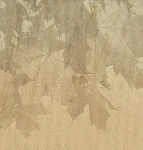 Обои Creative Leaves