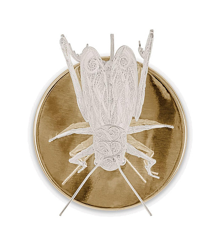 Настенное бра Filigree Cricket