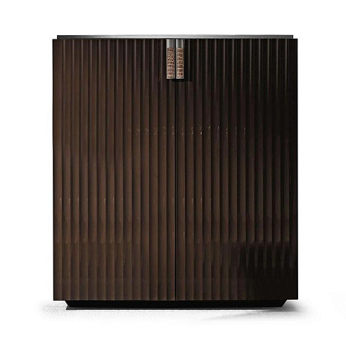 Шкаф на две двери с кожей и хромом FineCabinet