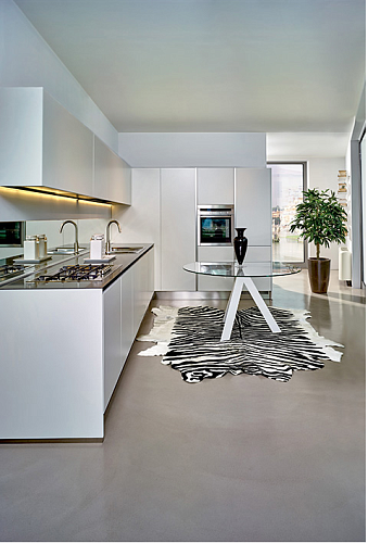 Натуральная шкура Zebra